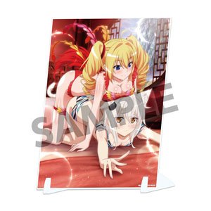 『ハイスクールD×D HERO』ビジュアルアクリルプレート vol.3 小猫&レイヴェル 神獣遊戯B ver.